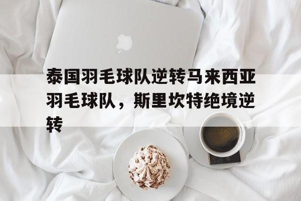 泰国羽毛球队逆转马来西亚羽毛球队，斯里坎特绝境逆转的简单介绍